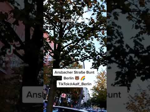 Ansbacher Straße Bunt Berlim 🐻 🌈 TikTok@Aalf_Berlin Bunter Herbst em Berlim