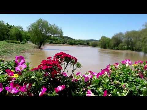 Down by the Salley Gardens - Calum Malcolm (버드나무 정원 아래에서)