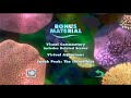 Finding Nemo DVD Easter Eggs