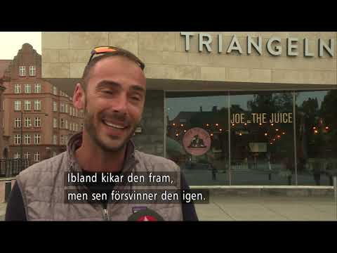 Sommarens väder - en riktig flopp  - Nyheterna (TV4)