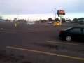 Seagulls In The Yokes Parking Lot