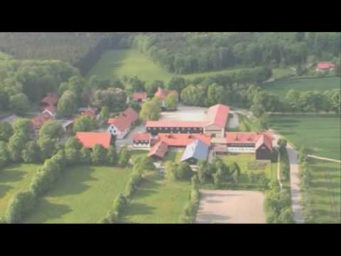 Marbach - the main - and state stud