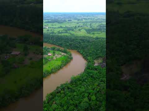 Rio guayas en puerto rico caqueta