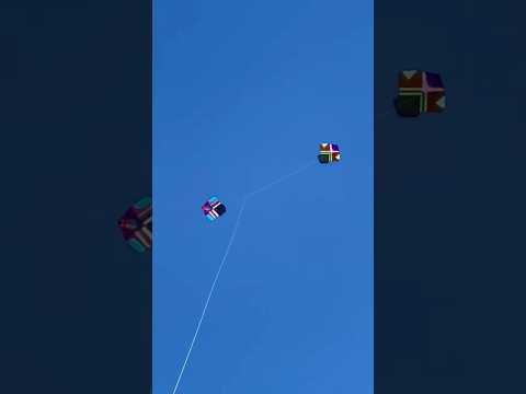 kite flying shorts #kite #kiteflying #shorts