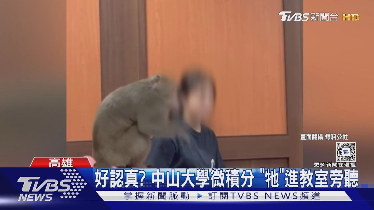 好認真?中山大學微積分上課 「牠」衝進教室旁聽