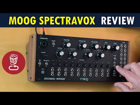 Moog Spectravox Semi-Modular Analog Spectral Processor 2024 - Present - Black with Wood Sides image 7