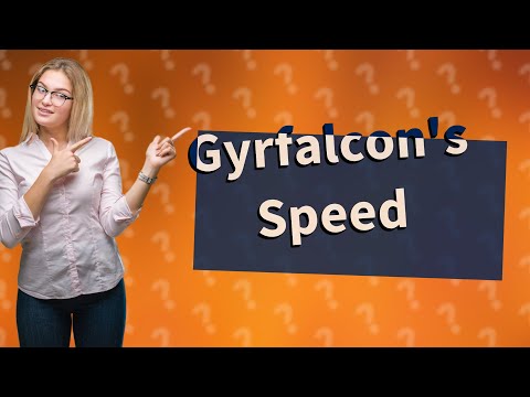 How fast is a gyrfalcon?