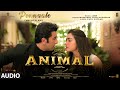 ANIMAL (Malayalam) Pennaale Song: Ranbir Kapoor, Rashmika M | Kapil K, Pritam | Sandeep Reddy V