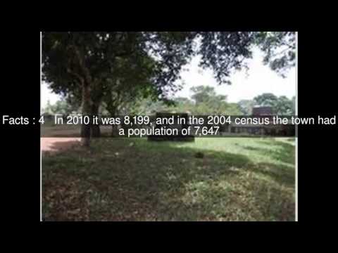 Mattru Jong Top  #6 Facts