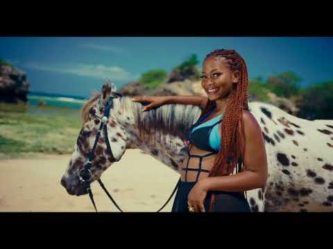 Bando feat Stamina & Daway - Salio (Official Music Video)