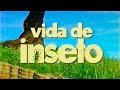 Vida De Inseto Abertura