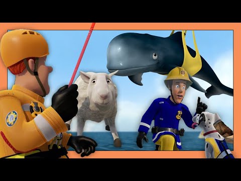 ALLE DYRENE ER I FARE! Hvem vil redde dem? | Brandmand Sam Tegnefilm | 1 time