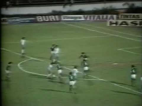 Palmeiras 1x1 Taubaté (15/10/1983) - Paulistão 1983