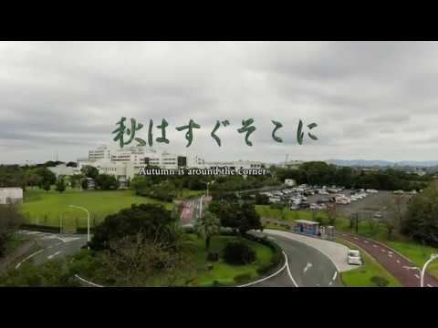 秋はすぐそこに　　技科大空撮シリーズ【４K】