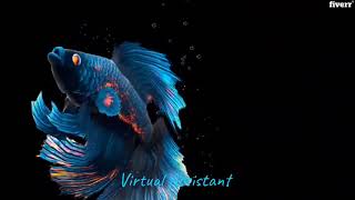 Top Virtual Assistant for Office Tasks & Data Entry Services