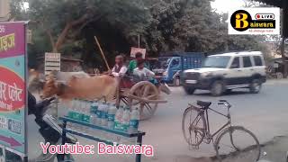 preview picture of video 'बैलगाडी से गंगा स्ऩान कर वापस आते लोग ।। डलमऊ'