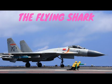J-15 Carrier Based Multirole Fighter Jet | The J-15 Flying Shark Overall Review
