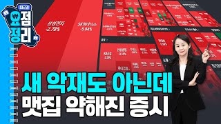 환율 급등하니 치솟는 휘발유값ㅣ패션주 집중분석 [11월18일 #퇴근요정]