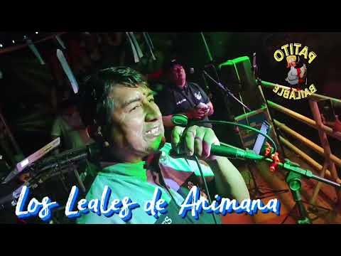 Los Leales de Animana/03/10/patito bailable 👑✨ salta capital 