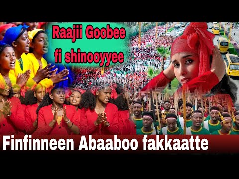 Ashamaa | Qeerroof Qarreen Finfinnee Irra dhangalaate ( karnivaala Goobee fi Shinooyyee marsaa 7ffaa