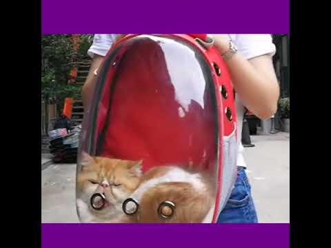 Space Capsule Cat Carrier Backpack - Astronaut Cat Backpack