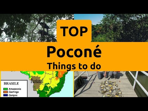 Top things to do in Poconé, State of Mato Grosso (MT) | Brazil - English
