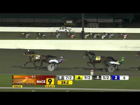 April 18, 2014 - Race 9 - Zuppa Inglese