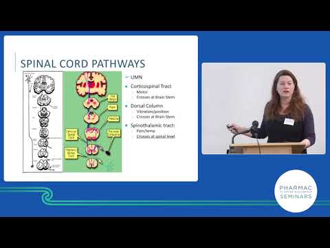 Neurology basics, Dr Anna Ranta, part 2