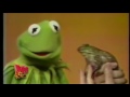 The Time A Frog Peed On Jim Henson With Kermit And Bob McGrath