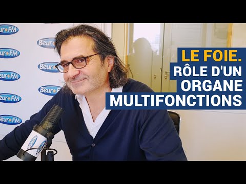 [AVS] Le foie. Rôle d'un organe multifonctions - Dr Réginald Allouche