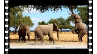 michel berger - iL VIENT DE TOI