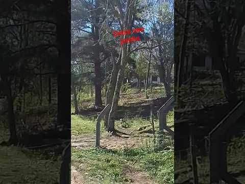 Vila do Carmo, chácara das flores, santa Maria