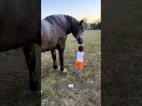 Малой подружился с огромным КОНЁМ🐴😱