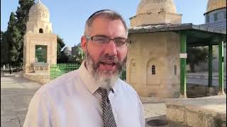 פסוקי מלכויות זכרונות ושופרות | הרב אבי גרוסמן (ישיבת הר הבית) - התמונה מוצגת ישירות מתוך אתר האינטרנט יוטיוב. זכויות היוצרים בתמונה שייכות ליוצרה. קישור קרדיט למקור התוכן נמצא בתוך דף הסרטון פסוקי מלכויות זכרונות ושופרות | הרב אבי גרוסמן (ישיבת הר הבית) - התמונה מוצגת ישירות מתוך אתר האינטרנט יוטיוב. זכויות היוצרים בתמונה שייכות ליוצרה. קישור קרדיט למקור התוכן נמצא בתוך דף הסרטון