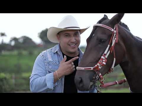 Mi amigo mi caballo