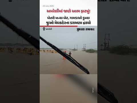 અમરેલીમાં જાણે આભ ફાટ્યું! ખેતરો બન્યા બેટ, ગામડાઓ ડૂબ્યા, મેઘકહેરના ડરામણા દ્રશ્યો અમરેલીમાં જાણે આભ ફાટ્યું! ખેતરો બન્યા બેટ, ગામડાઓ ડૂબ્યા, મેઘકહેરના ડરામણા દ્રશ્યો