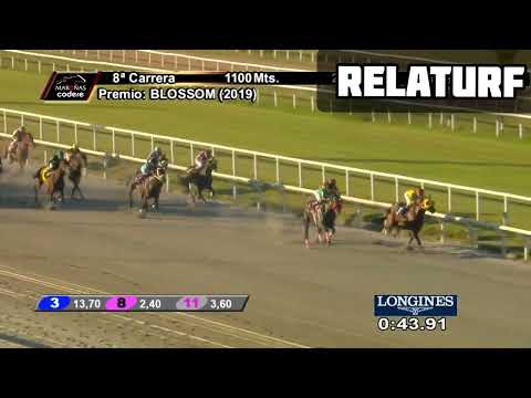 Hipodromo de Maroñas Premio: Blossom Relator: El piki