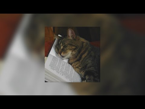 Sparky Deathcap   September - 10hour Slowed version + rain