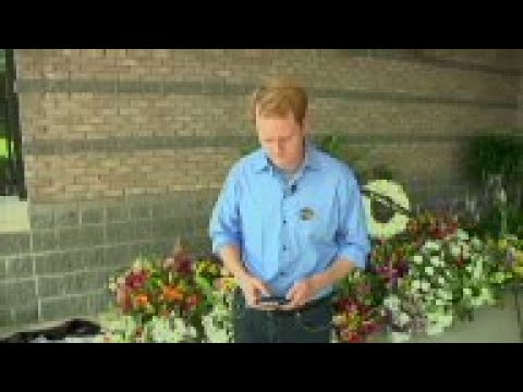 Alison Parker Journalist Alison Parker Journalist The Systemic Failures That Led To Tragedy