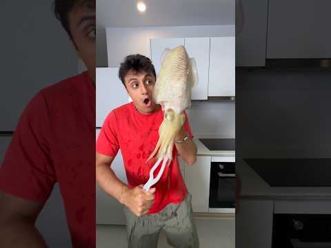 Cuttlefish Inked All Over Me!