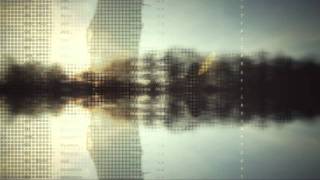 Everything Is Made in China — V Reys (Mumiy Troll tribute)