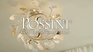 1_Watch A Video About the Possini Euro Descanso Gold and Ceramic 6 Light Ceiling Light