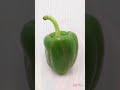 Biblical Meaning Of Green Pepper In A Dream#shortvideo