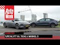 Xpeng P7 vs. Tesla Model 3 - Dubbeltest
