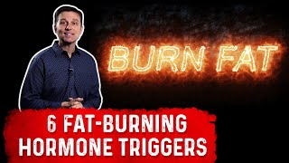 The 6 Fat Burning Hormones Triggers