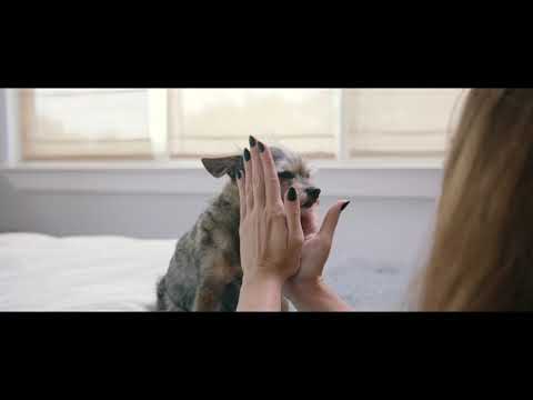 Healthy Pet Ears, Skin, and Mouths with ZYMOX and Oratene