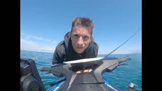Chasing Sharks & Catching Dinner On A Jetski