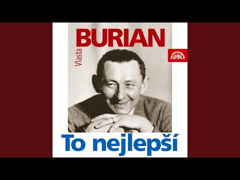 Prosím jízdenku (Starý Berounský)