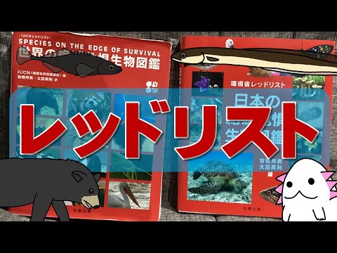 園芸 絶滅危惧種のレッドリストに載っているハリネズミ