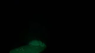 Dump the Dude - Mary Lou Pearl